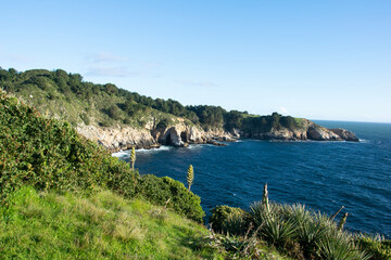 Naklejka premium view of the coast of the sea