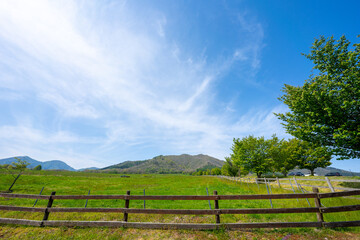 Fototapeta na wymiar 蒜山高原の風景