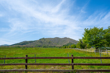 Fototapeta na wymiar 蒜山高原の風景