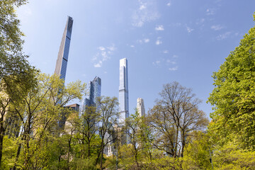 Central Park trees and skyscrapers