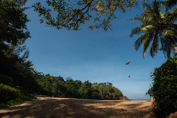 View from the forest on a dreamlike deserted beach and a small island.