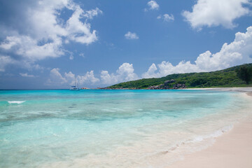 Tropical beach with palm trees