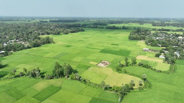 Beautiful bangladesh landscape of region country aerial view video footage, adomdighi, bogura, rajshahi, bangladesh