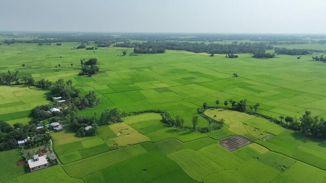 Beautiful green landscape aerial drone video footage, bogura bangladesh, asia