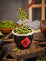 Piper nigrum,Green pepper,Zanthoxylum schinifolium(huajiao),fresh and dried peppercorns(Translation: The word "FU" means auspiciousness and blessing)