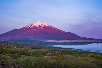 山中湖パノラマ台から富士山と雲海