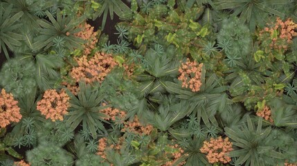 Fototapeta premium trees in tropical jungle, area view, 3D illustration, cg render 