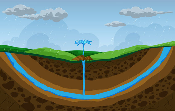 An artesian well is a type of well that taps into a confined aquifer, allowing water to rise up to the surface without pumping.