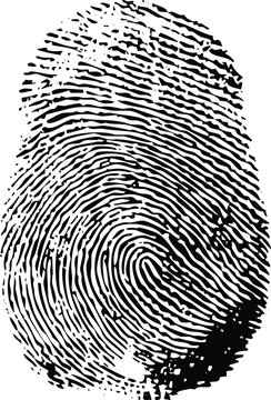 fingerprint vector illustration isolated white