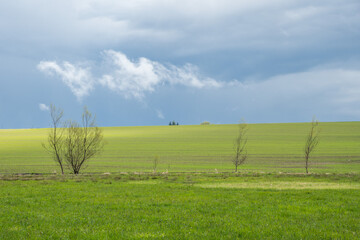 Spring landscape with green grass and sky after storm