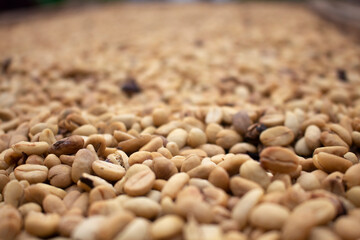 product background of pile of coffee beans