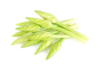 moonflower isolated on white background