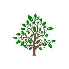 Tree icon isolated on transparent background