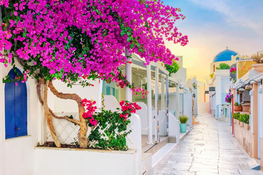 Fototapeta View of Oia street in the mornong