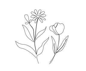 single line spring flower, digital flower flat design, simple flower outline, linear sketch, One line flower, black white artwork outline vector on white background