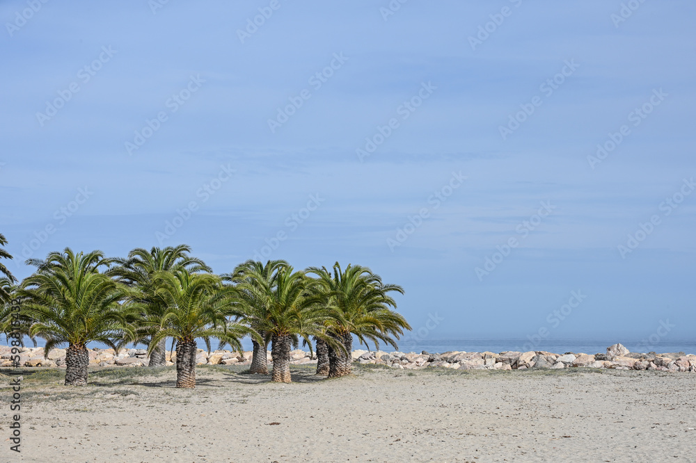 Sticker Espagne tourisme plage sable palmier environnement