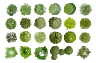 Fototapete Rund Weiß Vector tree top watercolor hand drawn view isolated on white background for landscape plan and architecture layout drawing, elements for environment and garden  © feipco