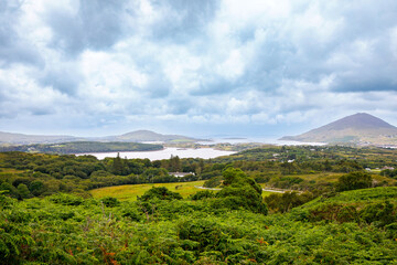 Ireland landscape. Magical Irish hills. Green island with sheep and cows on cloudy foggy day....
