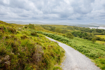 Fototapeta na wymiar Ireland landscape. Magical Irish hills. Green island with sheep and cows on cloudy foggy day. Connemara national park in Ireland.
