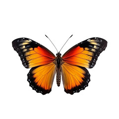 A colorful butterfly isolated on transparent background, Generative AI