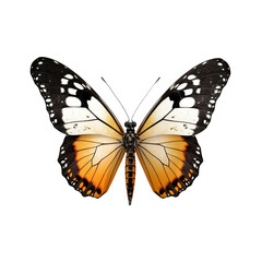 A colorful butterfly isolated on transparent background, Generative AI