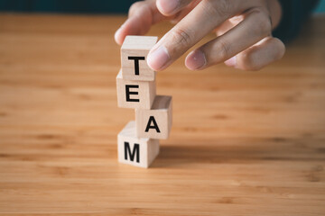 Businessman hold wooden block with  Team text. teamwork and organization concept