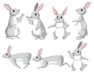 Abwaschbare Fototapete Kinder White rabbits in different poses set