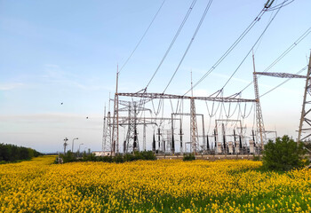 Electrical power station with electrical grid equipment at sunset in the middle of a blossomed canola field