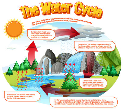 The water cycle diagram for science education