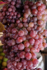 a sprig of red grapes.  grape is a fruit, botanically a berry, of the deciduous woody vines of the flowering plant vitis.
