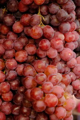 closeup of red ripe grapes. bunch of fresh grapes. 