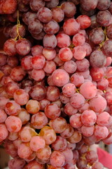 closeup of red ripe grapes. bunch of fresh grapes. 