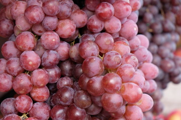 a sprig of red grapes.  grape is a fruit, botanically a berry, of the deciduous woody vines of the flowering plant vitis.
