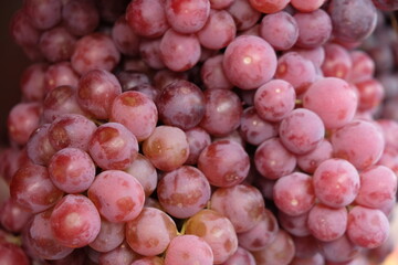 a sprig of red grapes.  grape is a fruit, botanically a berry, of the deciduous woody vines of the flowering plant vitis.
