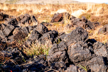 Peat Turf cutting in County Donegal - Ireland