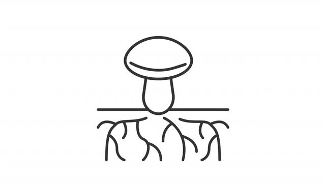 Animated mycelium linear icon. Growing roots line animation. Mushroom farm. Mycorrhizal network. Seamless loop HD video with alpha channel on transparent background. Outline motion graphic animation
