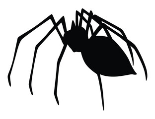 Spider silhouette. Black close-up insect, scary big spider isolated on white. Poisonous dangerous animal. Creepy wildlife bug