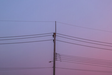 Pink Skies and Power Lines.