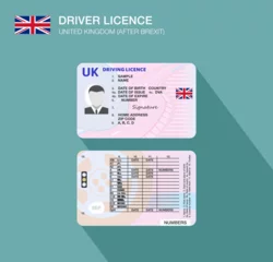 Zelfklevend Fotobehang New United Kingdom car driver license identification after brexit. Flat vector illustration template. Great Britain. © flatvectors