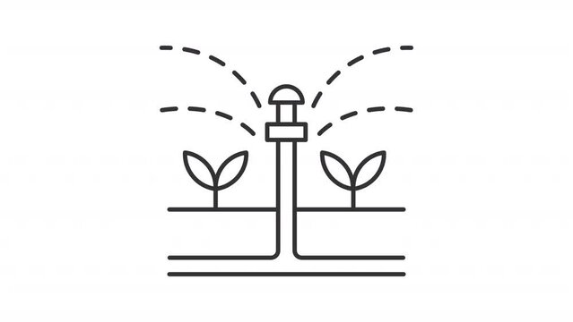 Animated irrigation linear icon. Irrigation system drips water over plants animation. Seamless loop HD video with alpha channel on transparent background. Outline motion graphic animation