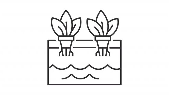 Animated hydroponics linear icon. Plant roots in water animation. Hydroponic farm. Seamless loop HD video with alpha channel on transparent background. Outline motion graphic animation