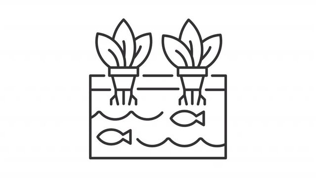 Animated aquaponics linear icon. Fish swimming in tank with plant roots animation. Seamless loop HD video with alpha channel on transparent background. Outline motion graphic animation