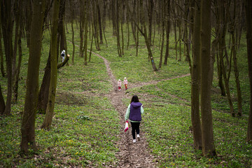 Fototapeta premium Back view of mother with three kids walking on forest trail. Outdoor spring leisure concept.