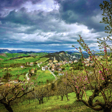 Costa Vescovato village in the hills of Piemonte with an orchard in foregroung, Italy
