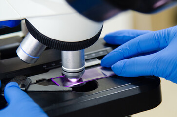 Scientist working in modern laboratory.