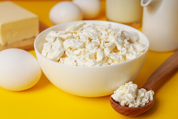 Concept of tasty food - different dairy products