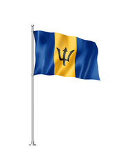 Barbados flag isolated on white