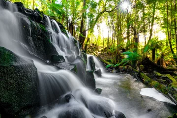  waterfall in the forest © Liam