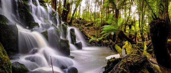 waterfall in the forest