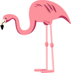 Pink flamingo bird, PNG file no background